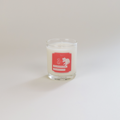 Secondhand Bookstore Mini Candle (relaxation)